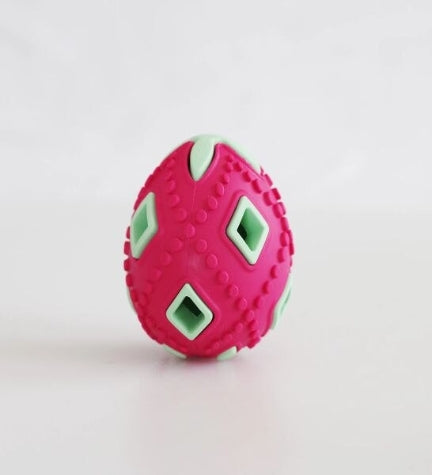 Companion Chewing Egg Toy for Dogs