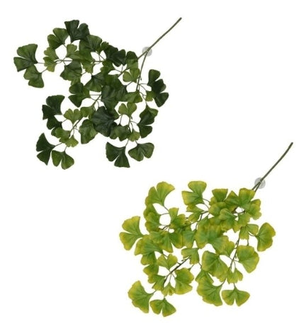 Terra D'Ella Hanging Plant Ginko — 63x36x5cm / Light Green