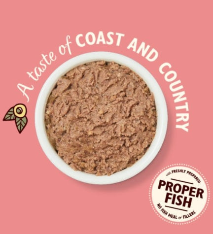 Lily's Kitchen Salmon & Chicken Pate Wet Cat Food 85G