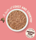Lily's Kitchen Salmon & Chicken Pate Wet Cat Food 85G