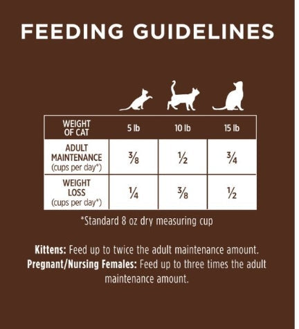 Instinct Original Grain Free Salmon Dry Cat Food