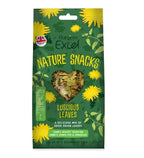 Burgess Excel Luscious Leaves Small Pet Treats 60G