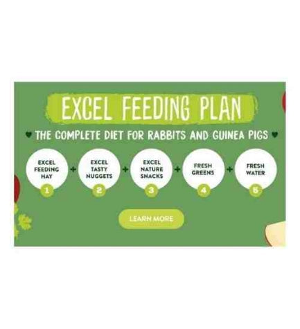 Burgess Excel Herby Hearts Small Pet Treats 60G