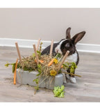 Trixie Ceramic Wood Food Manger for Small Pets
