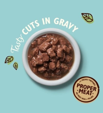 Lily's Kitchen Tasty Cuts Chicken & Ocean Fish Kitten Wet Food 85G
