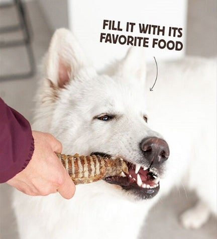 Wild Balance Natural Snack Beef Trachea for Dogs 100G
