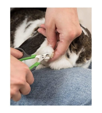 Trixie Colourful Claw Scissors for Small Pets