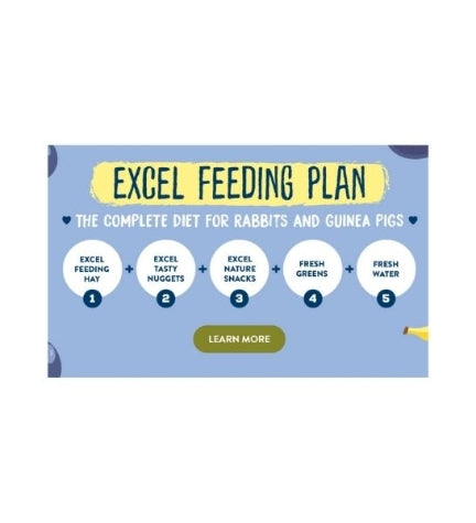 Burgess Excel Fruity Feasts Small Pet Treats 60G