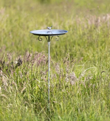 Trixie Bath with Ground Spear for Birds
